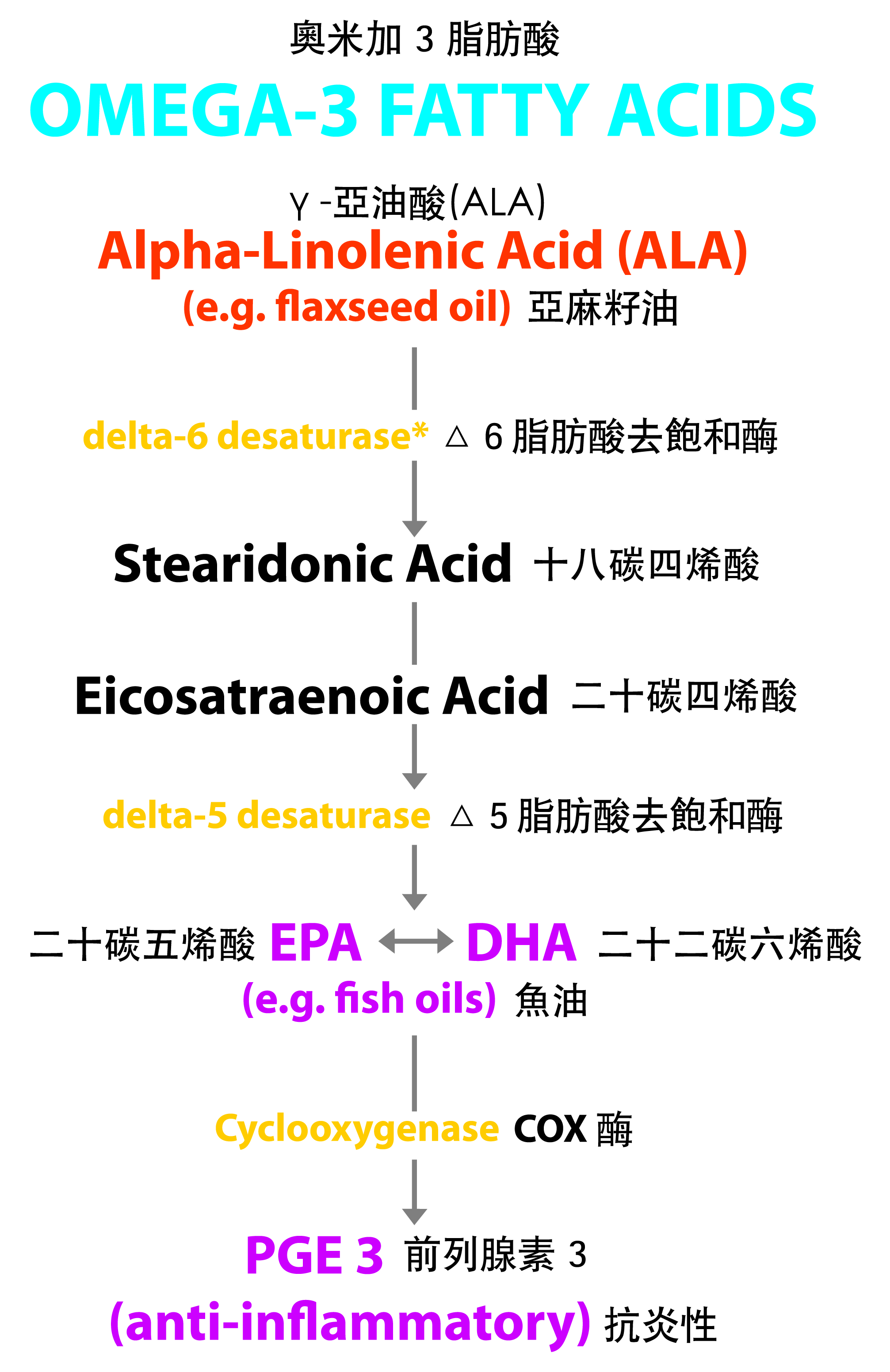 Essential Fatty Acids Nippon Kendai